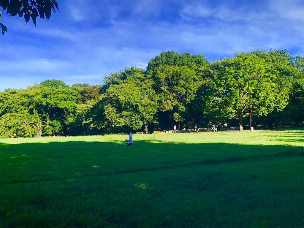 f:id:CHASSESPLEEN:20180815071446j:image