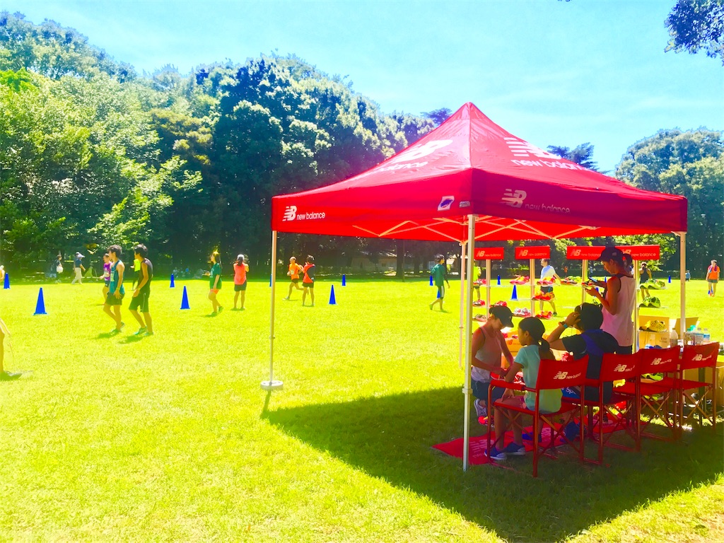 f:id:CHASSESPLEEN:20180825102848j:image