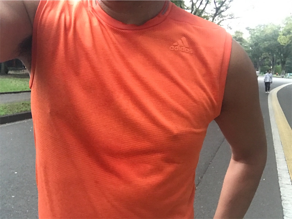 f:id:CHASSESPLEEN:20180917170803j:image