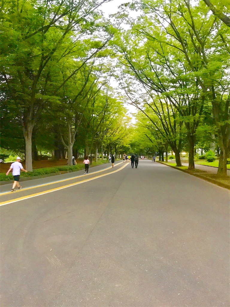 f:id:CHASSESPLEEN:20180917182140j:image