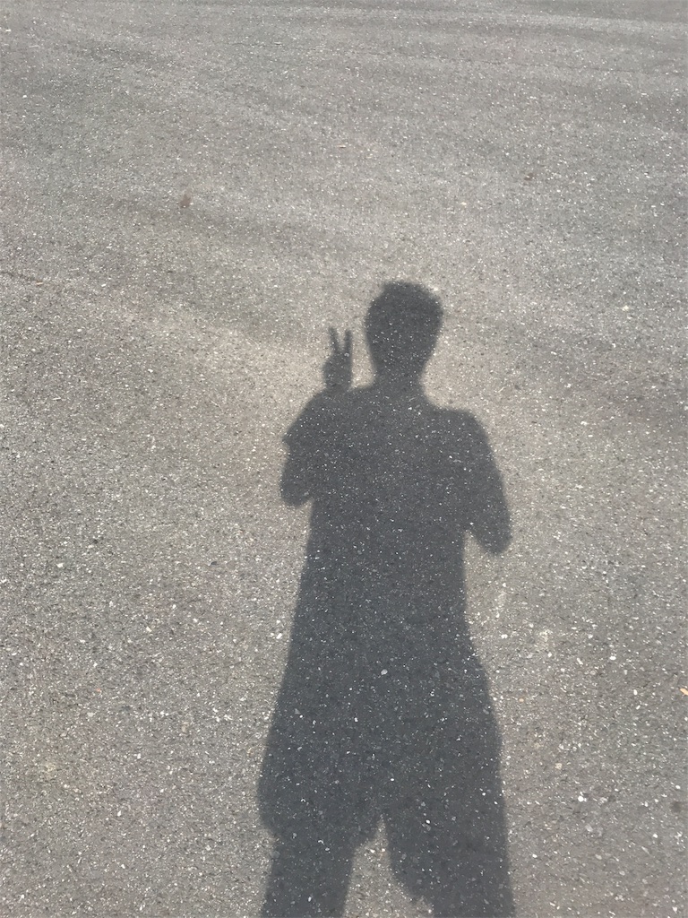 f:id:CHASSESPLEEN:20180923160509j:image