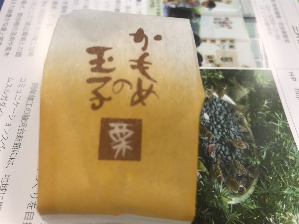 f:id:CHASSESPLEEN:20181002202127j:image