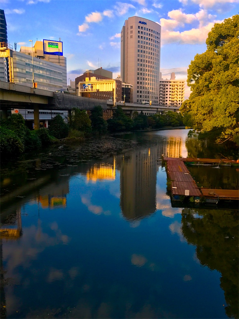 f:id:CHASSESPLEEN:20181023065458j:image