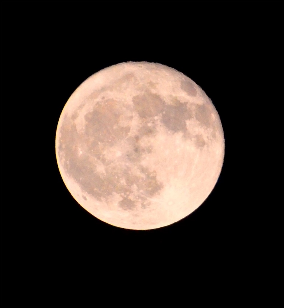 f:id:CHASSESPLEEN:20181025204744j:image