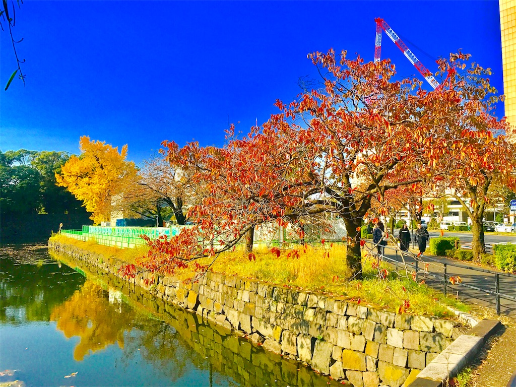 f:id:CHASSESPLEEN:20181127130622j:image