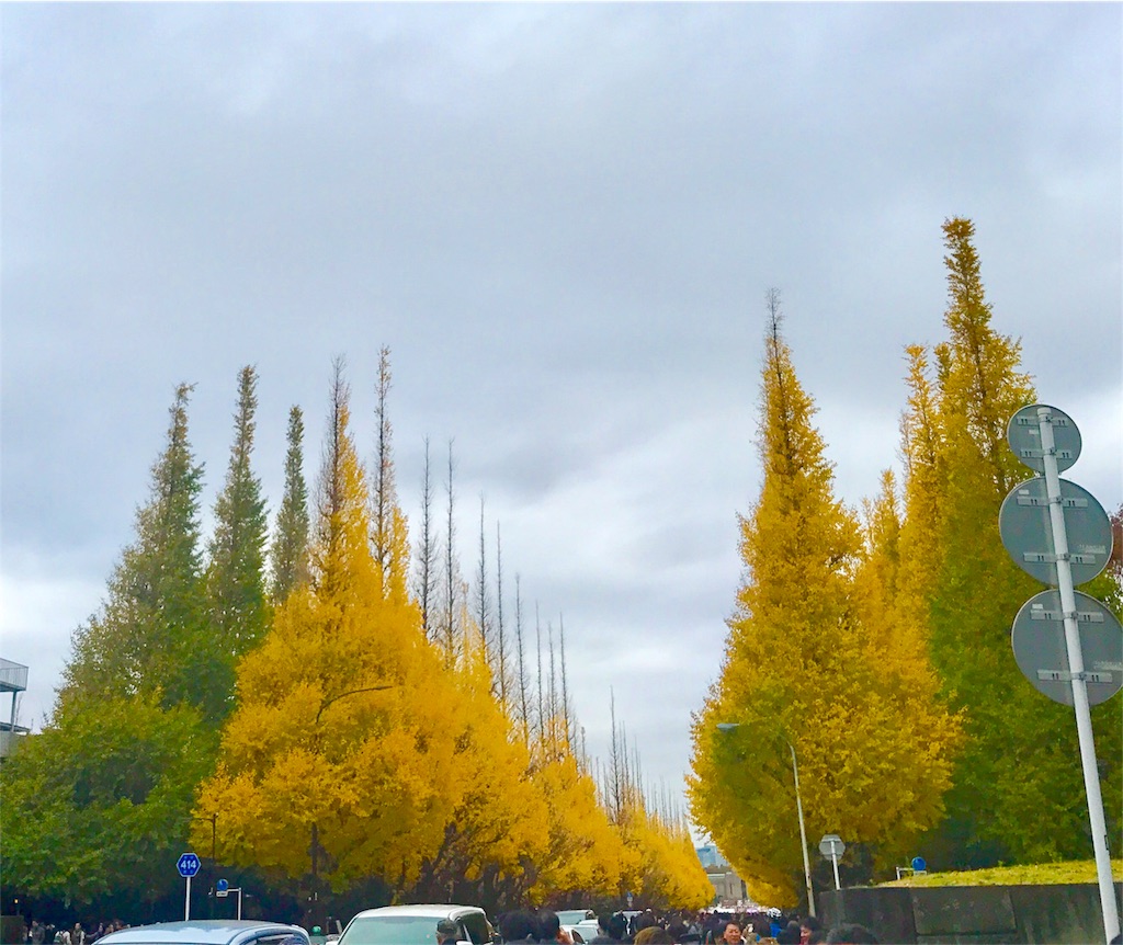 f:id:CHASSESPLEEN:20181202131848j:image f:id:CHASSESPLEEN:20181202131848j:image