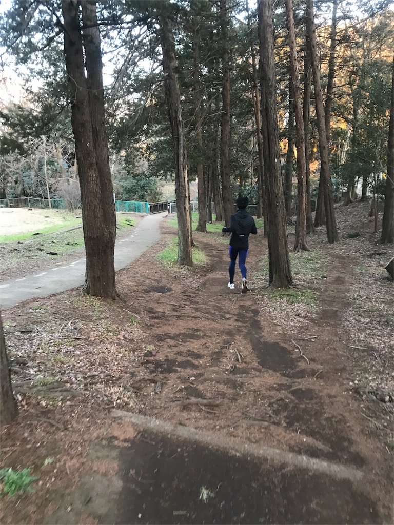 f:id:CHASSESPLEEN:20190202175229j:image