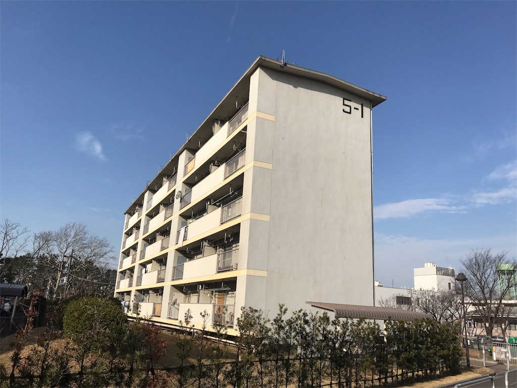 f:id:CHASSESPLEEN:20190216090321j:image