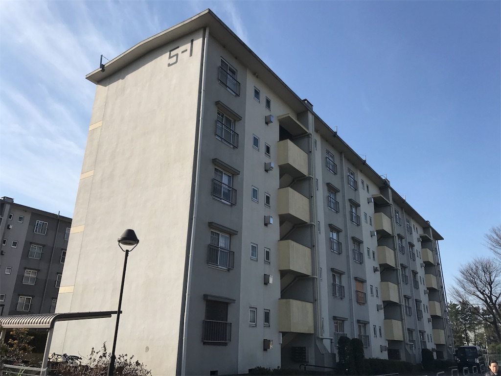 f:id:CHASSESPLEEN:20190216090329j:image