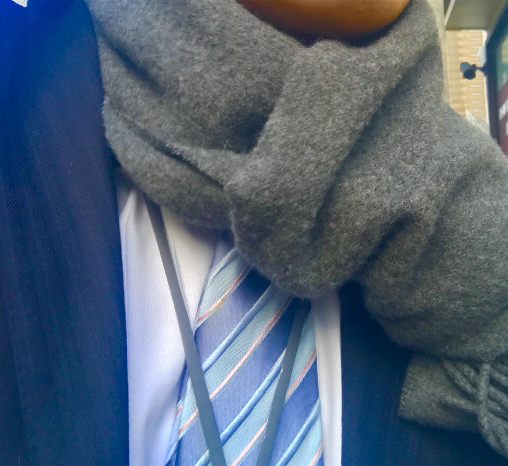 f:id:CHASSESPLEEN:20190220081715j:image