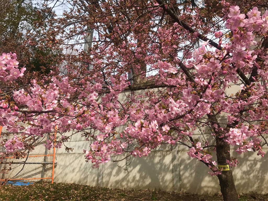 f:id:CHASSESPLEEN:20190224124528j:image