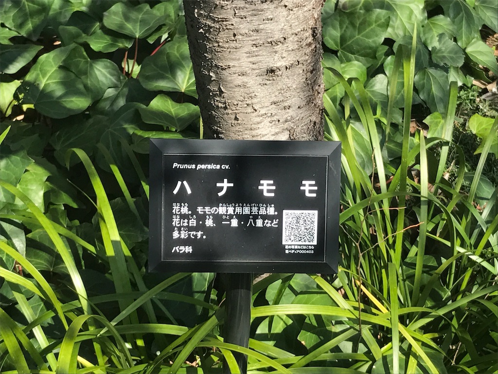 f:id:CHASSESPLEEN:20190312122629j:image