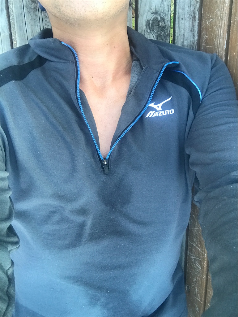 f:id:CHASSESPLEEN:20190321171858j:image