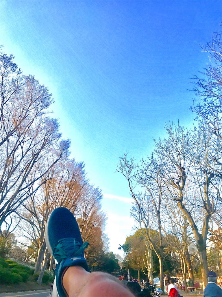 f:id:CHASSESPLEEN:20190321171908j:image