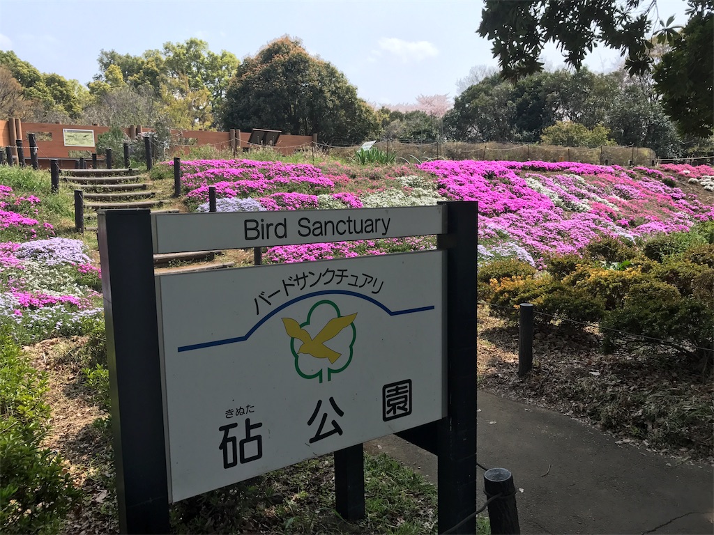 f:id:CHASSESPLEEN:20190407151319j:image