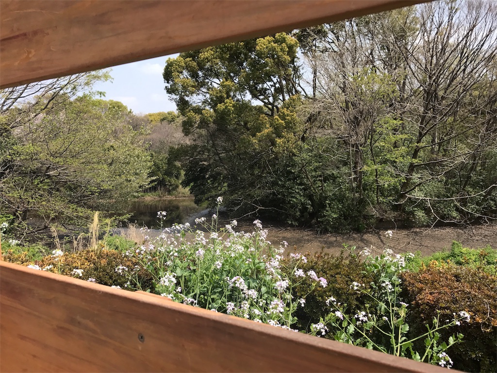 f:id:CHASSESPLEEN:20190407151325j:image