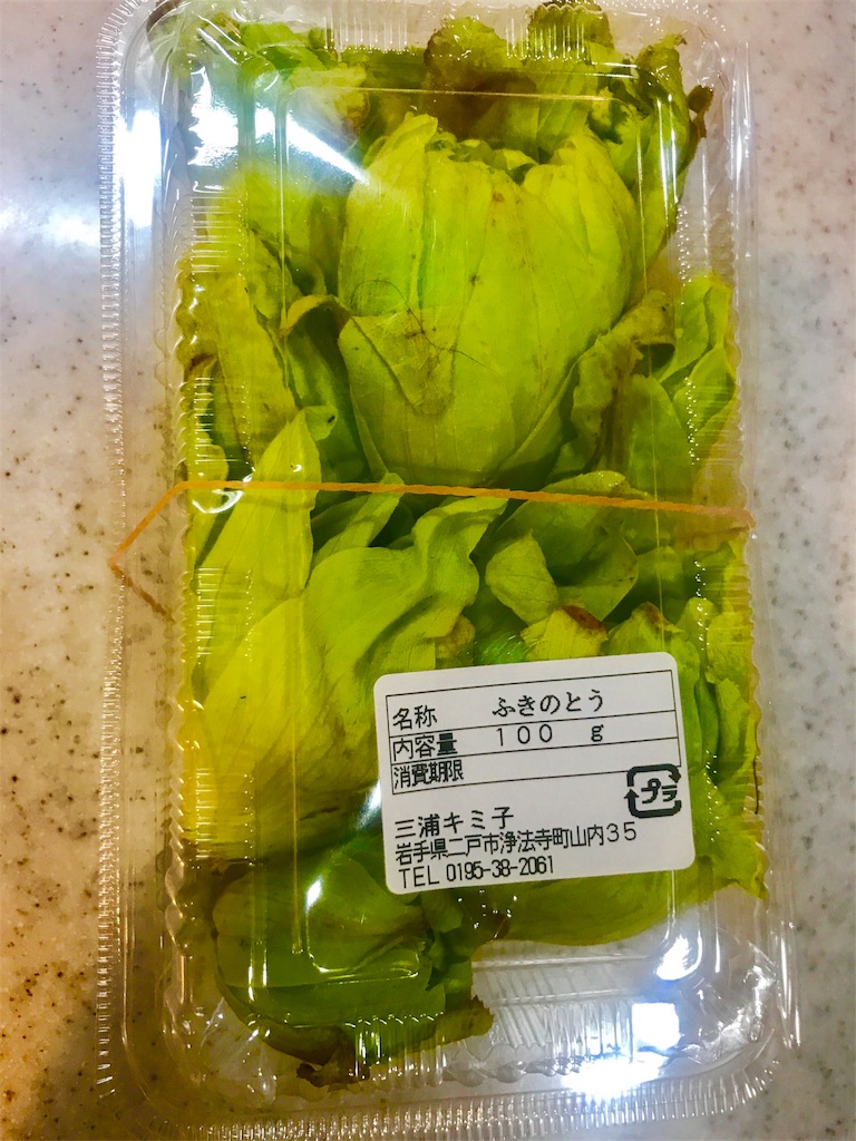 f:id:CHASSESPLEEN:20190411232832j:image