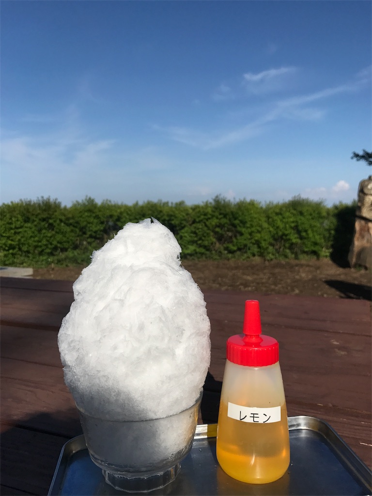 f:id:CHASSESPLEEN:20190505155258j:image