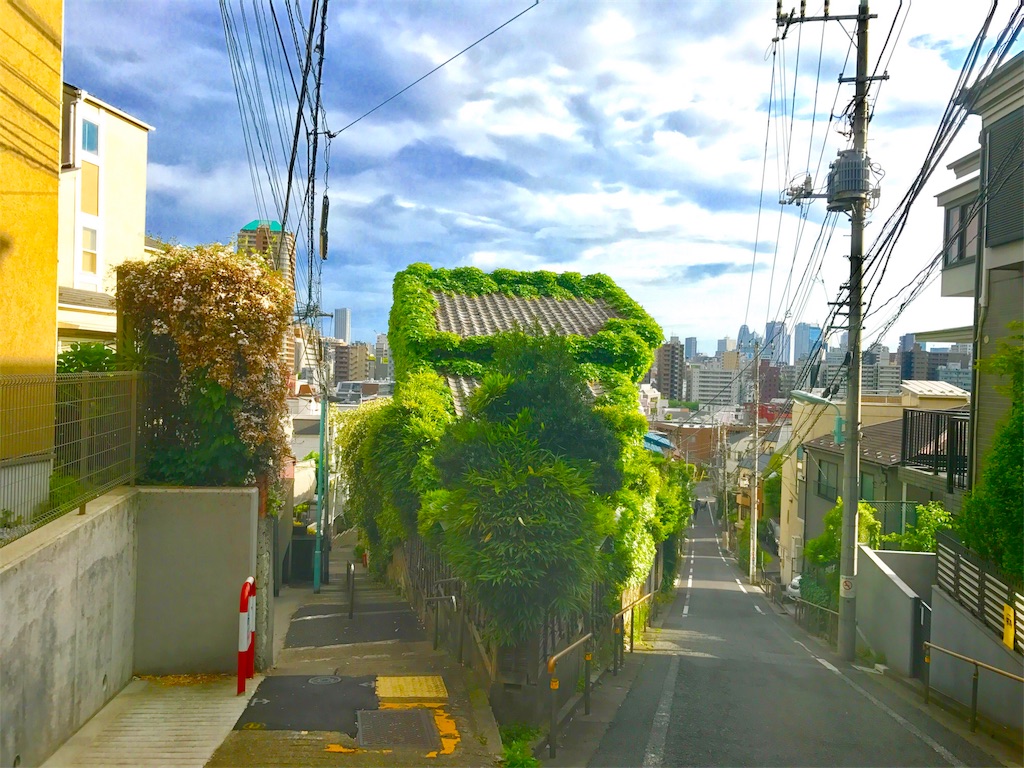 f:id:CHASSESPLEEN:20190506182212j:image