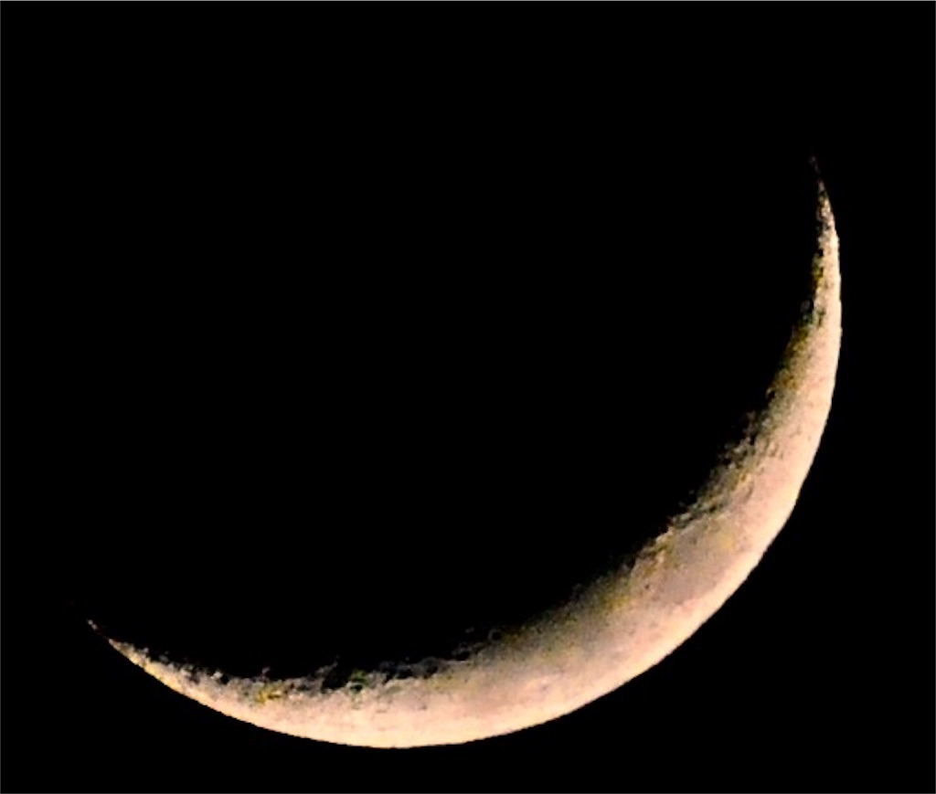 f:id:CHASSESPLEEN:20190509214445j:image