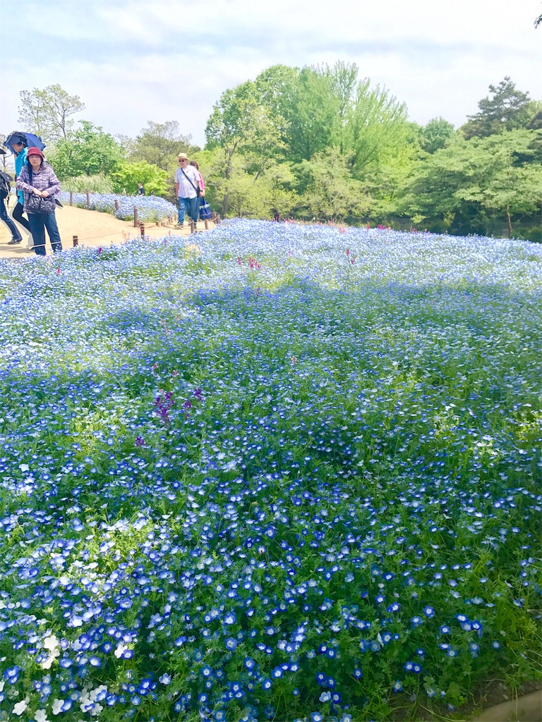 f:id:CHASSESPLEEN:20190512130558j:image