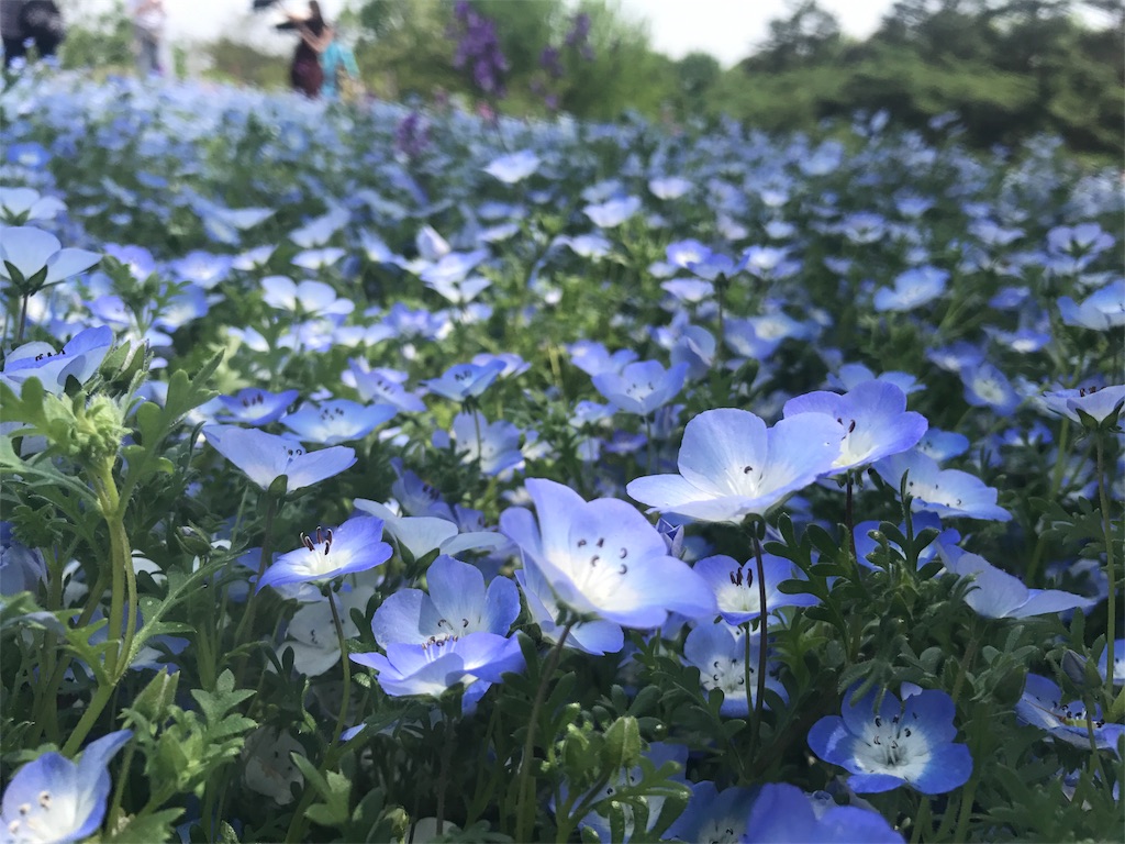 f:id:CHASSESPLEEN:20190512130606j:image