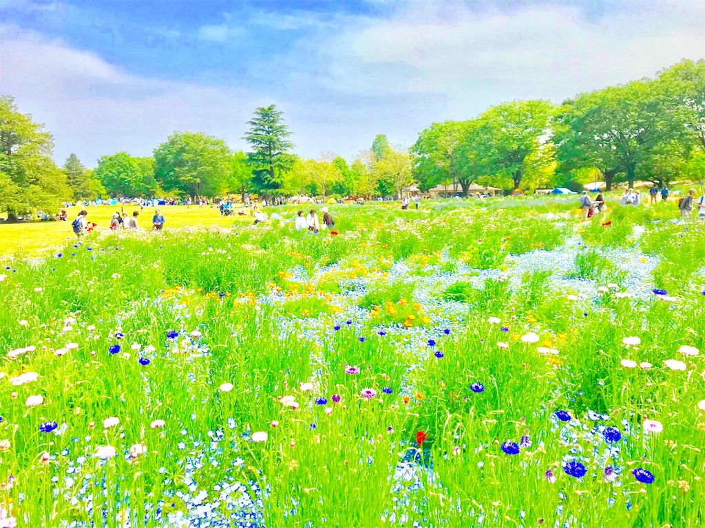 f:id:CHASSESPLEEN:20190512225631j:image