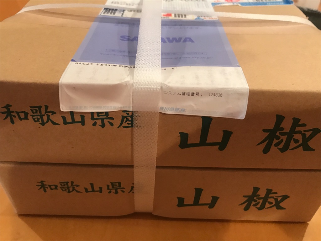 f:id:CHASSESPLEEN:20190522175642j:image