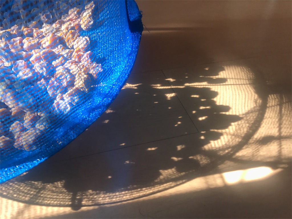 f:id:CHASSESPLEEN:20190614082352j:image