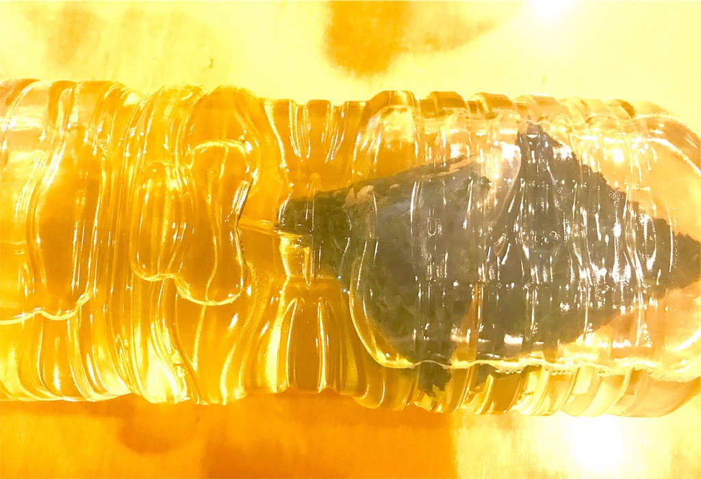 f:id:CHASSESPLEEN:20190622230303j:image