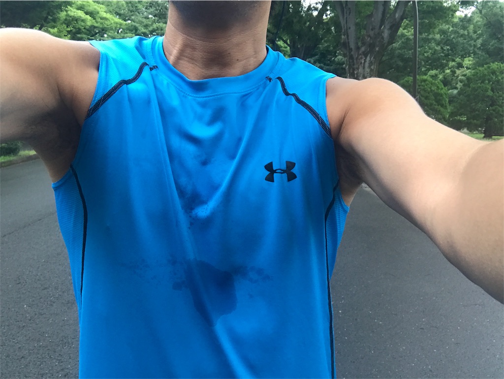 f:id:CHASSESPLEEN:20190629162512j:image