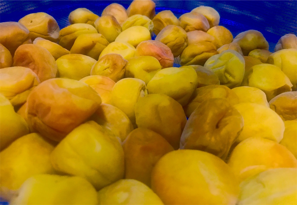 f:id:CHASSESPLEEN:20190701000822j:image