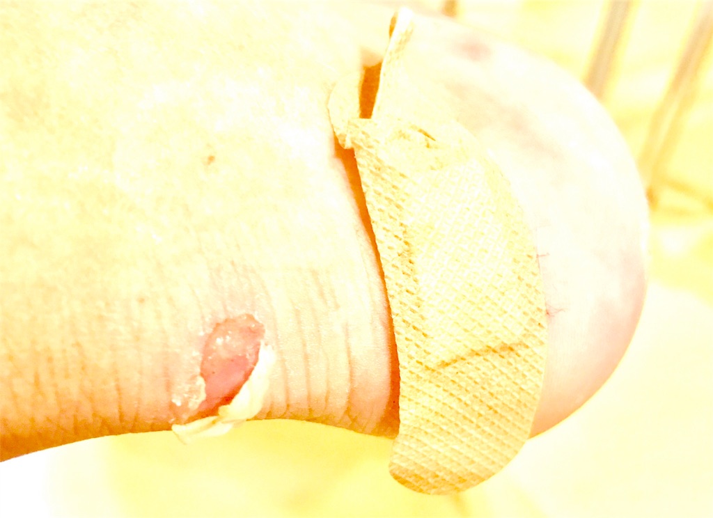 f:id:CHASSESPLEEN:20190702234645j:image