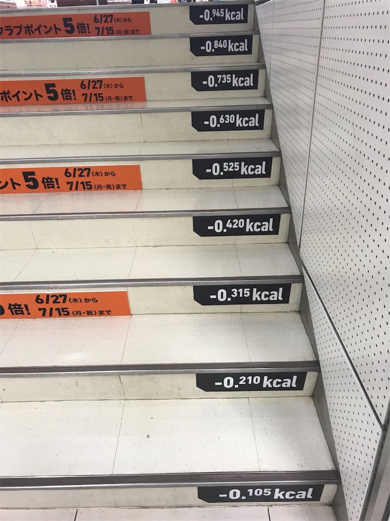 f:id:CHASSESPLEEN:20190704191322j:image