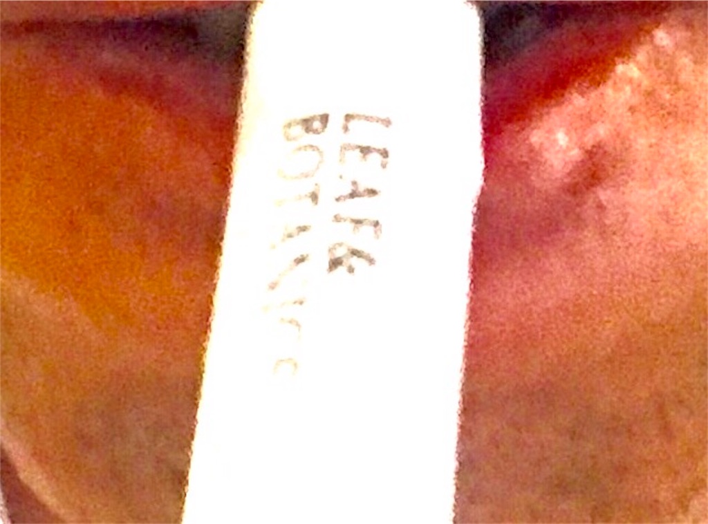 f:id:CHASSESPLEEN:20190704214615j:image