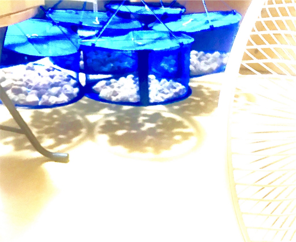 f:id:CHASSESPLEEN:20190704225415j:image