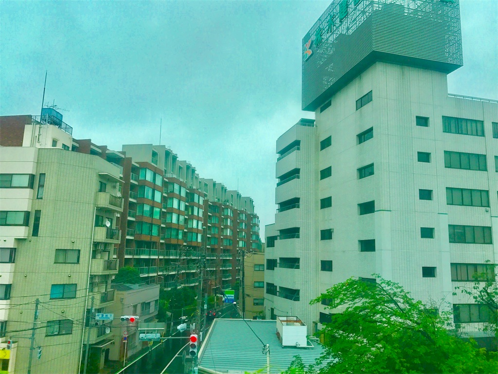 f:id:CHASSESPLEEN:20190707145740j:image