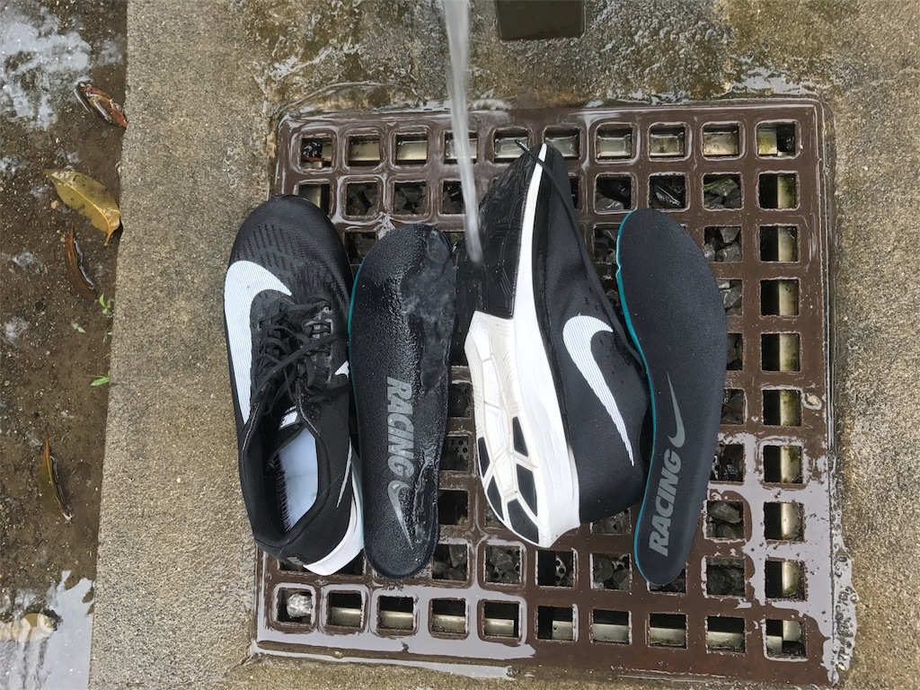 f:id:CHASSESPLEEN:20190707161431j:image