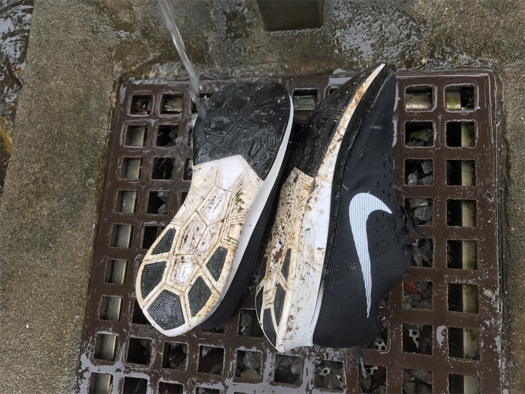 f:id:CHASSESPLEEN:20190707161440j:image