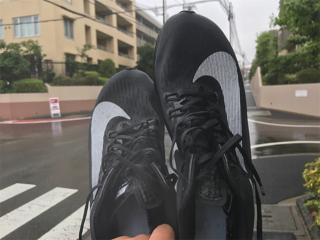 f:id:CHASSESPLEEN:20190707161443j:image