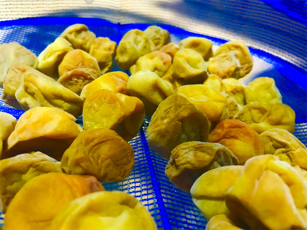 f:id:CHASSESPLEEN:20190708235609j:image