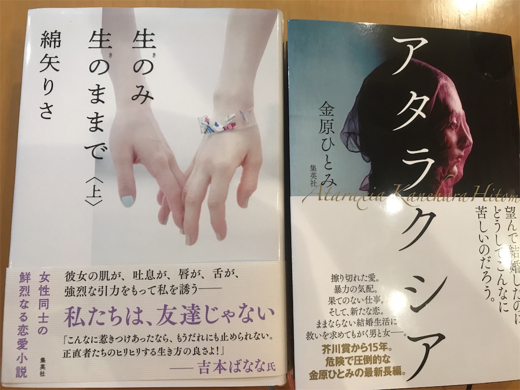 f:id:CHASSESPLEEN:20190709221709j:image