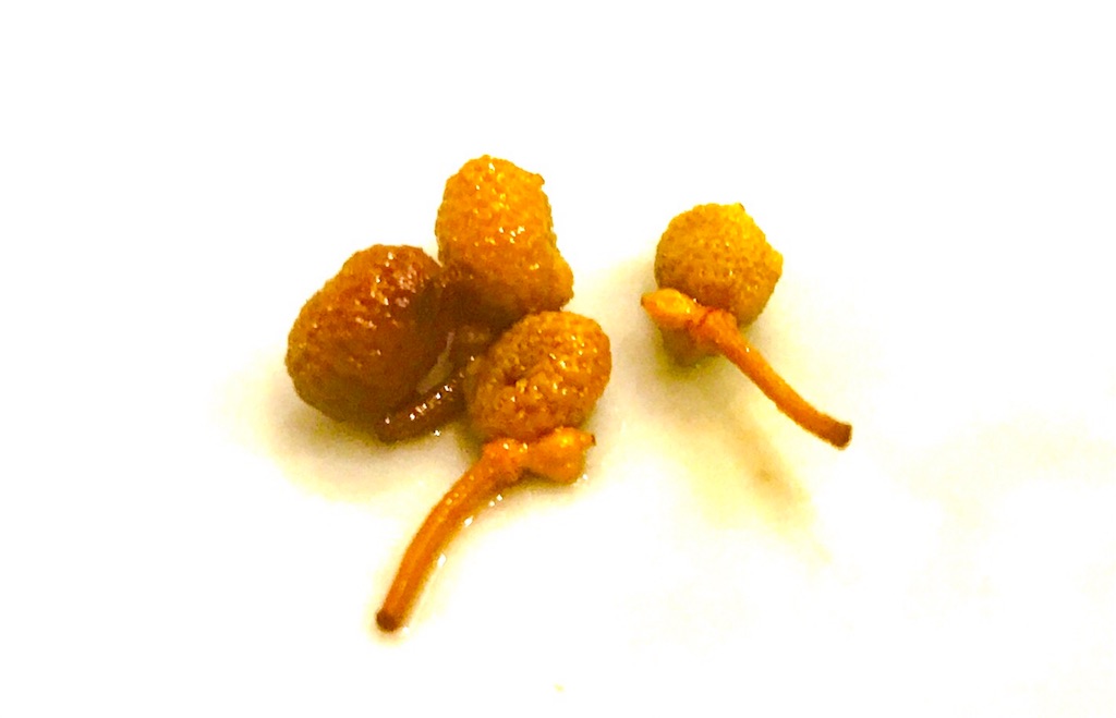 f:id:CHASSESPLEEN:20190711221325j:image