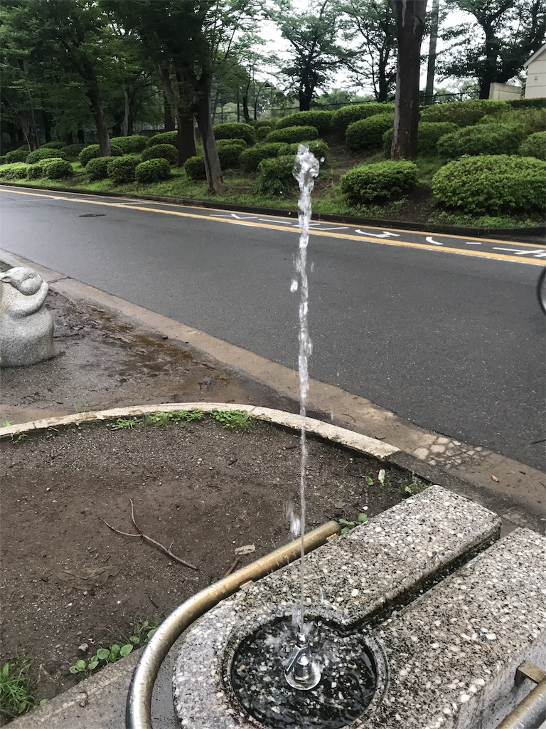 f:id:CHASSESPLEEN:20190714172218j:image