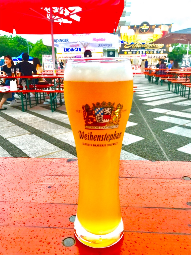 f:id:CHASSESPLEEN:20190714172225j:image