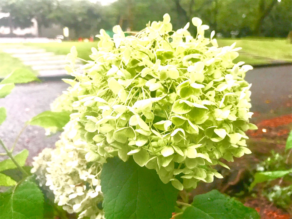 f:id:CHASSESPLEEN:20190714182631j:image