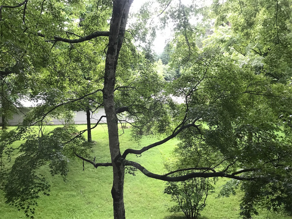 f:id:CHASSESPLEEN:20190719084702j:image