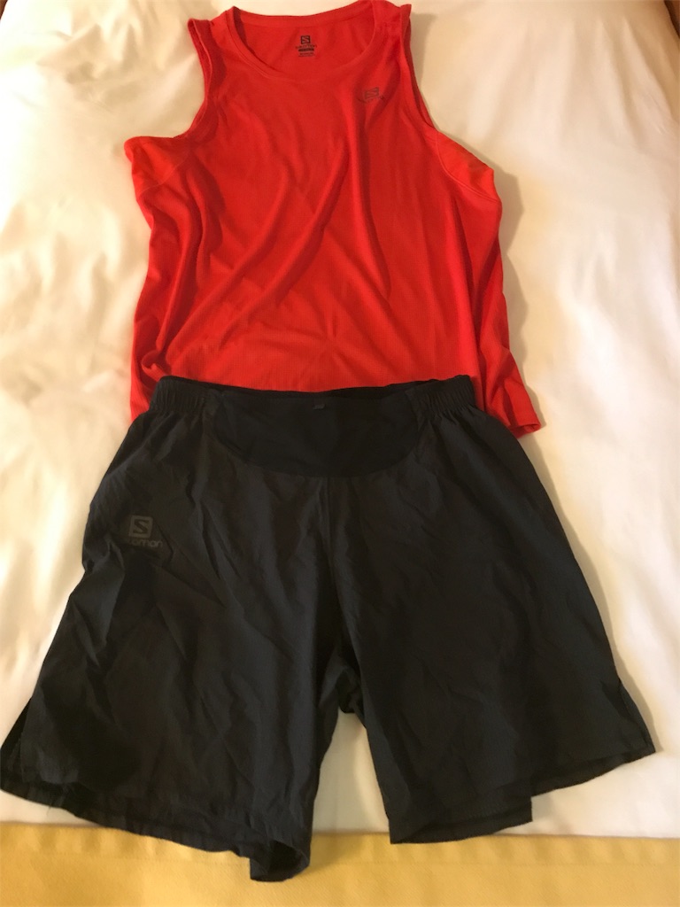 f:id:CHASSESPLEEN:20190719084711j:image