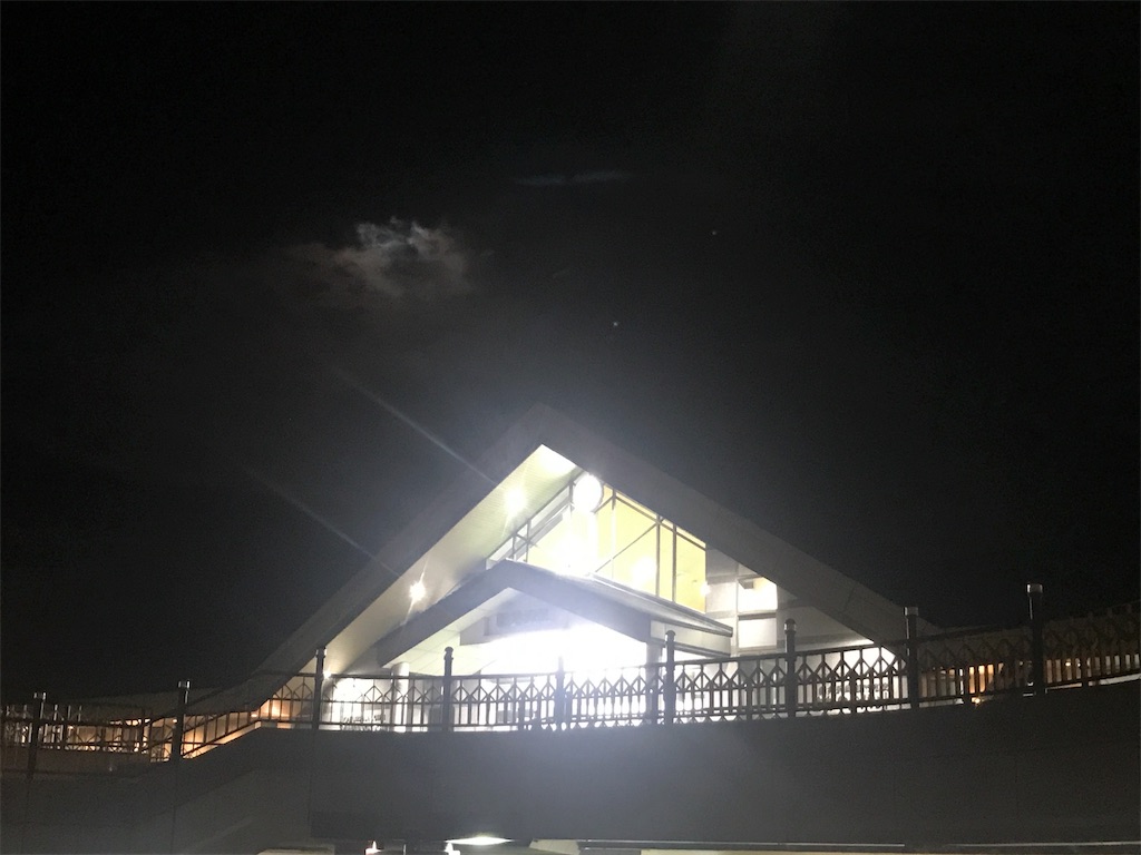 f:id:CHASSESPLEEN:20190719230647j:image