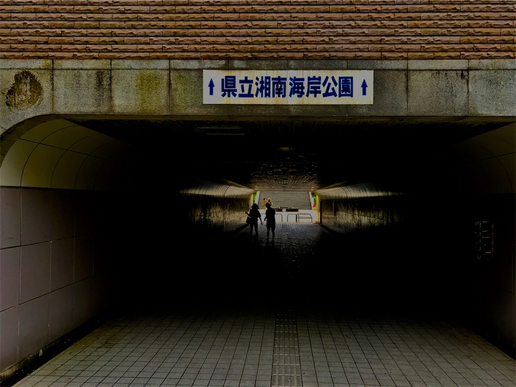 f:id:CHASSESPLEEN:20190721222848j:image